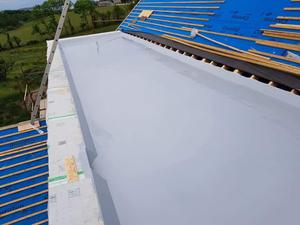 Here is a flat new build roof after treatment of Owl Lava 20 